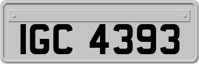 IGC4393
