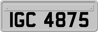 IGC4875
