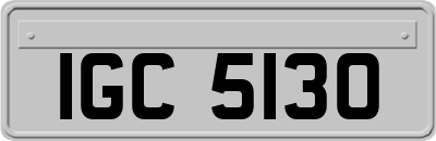 IGC5130