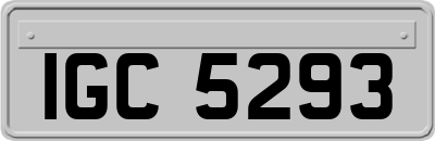 IGC5293