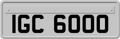 IGC6000
