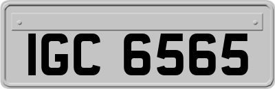 IGC6565