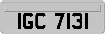 IGC7131