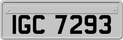 IGC7293