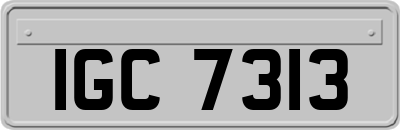 IGC7313
