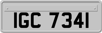 IGC7341