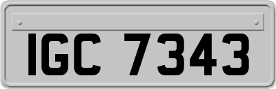 IGC7343