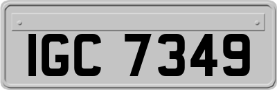 IGC7349