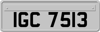 IGC7513