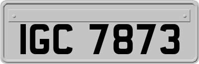 IGC7873