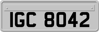 IGC8042