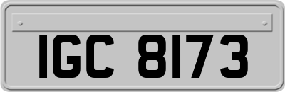 IGC8173