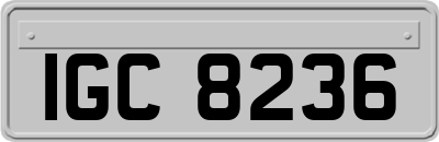IGC8236