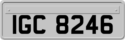 IGC8246