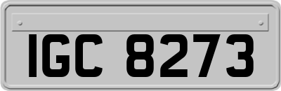 IGC8273