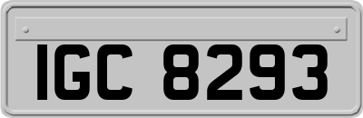 IGC8293