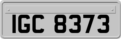 IGC8373