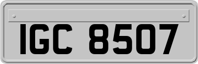 IGC8507