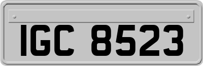 IGC8523