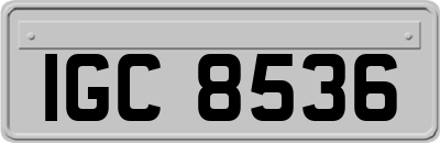 IGC8536