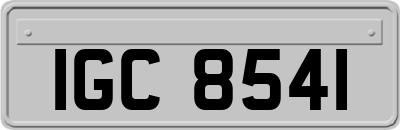 IGC8541