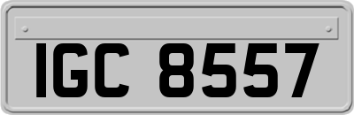 IGC8557