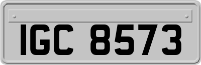 IGC8573