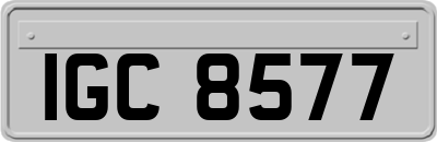 IGC8577