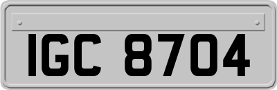 IGC8704