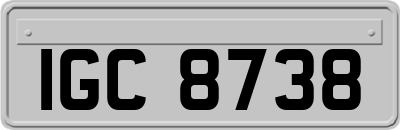 IGC8738