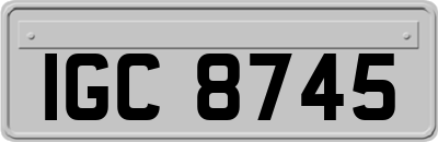 IGC8745