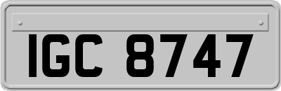 IGC8747