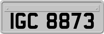 IGC8873