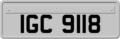 IGC9118