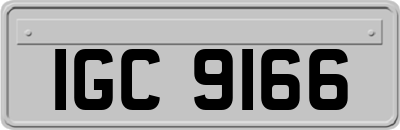 IGC9166
