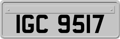 IGC9517