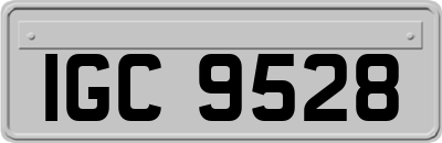 IGC9528