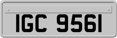 IGC9561