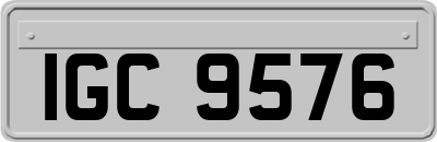 IGC9576
