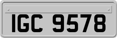 IGC9578