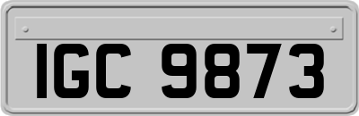 IGC9873