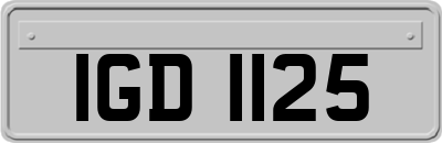IGD1125