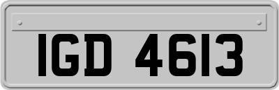 IGD4613