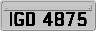 IGD4875