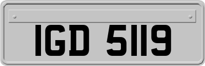 IGD5119