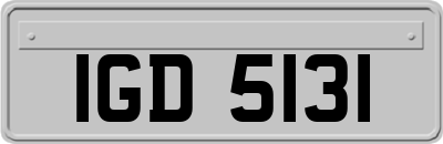 IGD5131