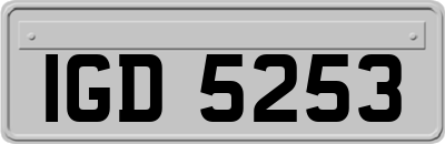 IGD5253