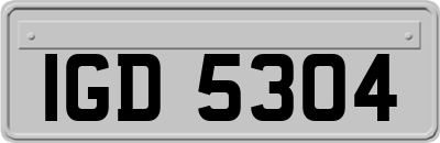 IGD5304