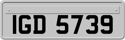 IGD5739