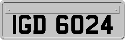 IGD6024